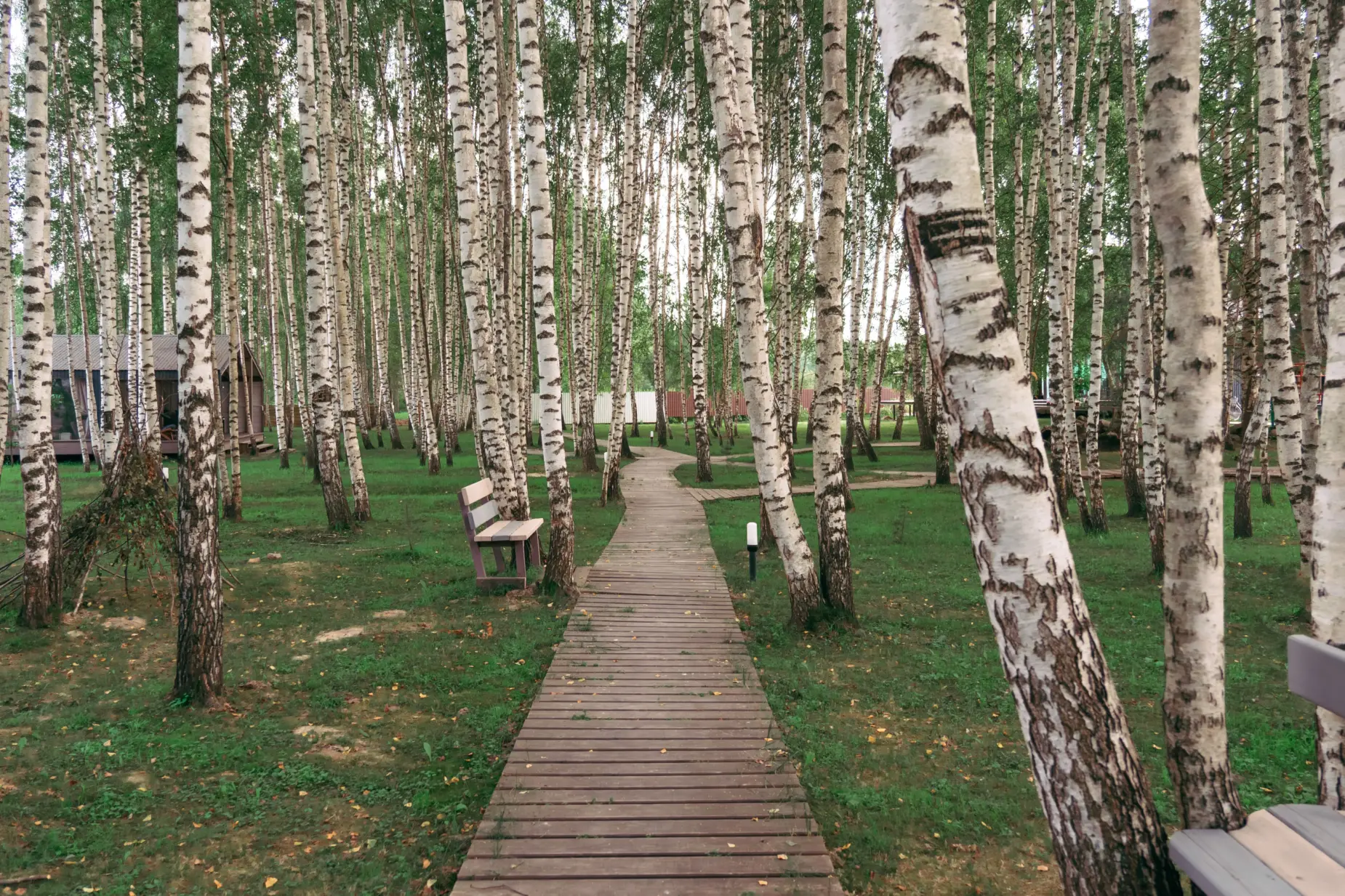 DSC01019 копия копия (1)