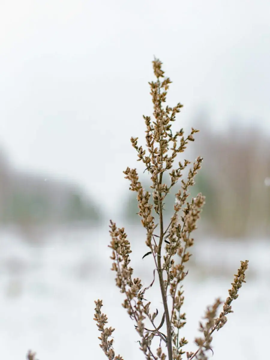 Артём Качалин